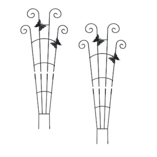 Per rampicante vite - rampicante, traliccio