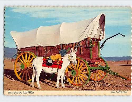 Cartolina mulo carro - e,