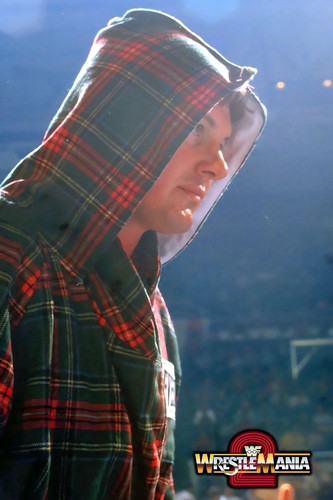 Wwe giant x36 - wwe,