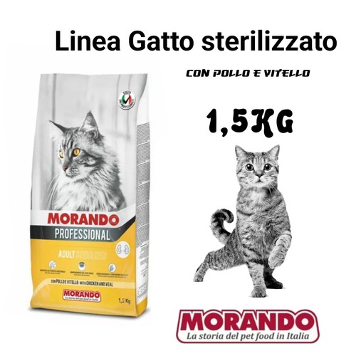 Miglior gatto sterilizzato - miglior,