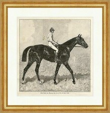 Little Duck, der Gewinner des