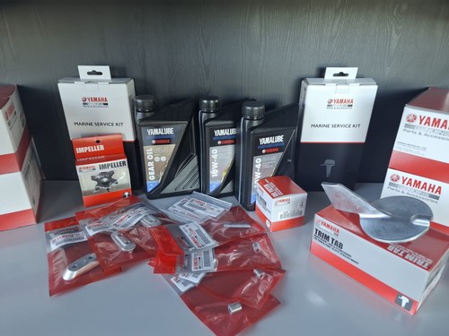 Kit tagliando originale - kit,