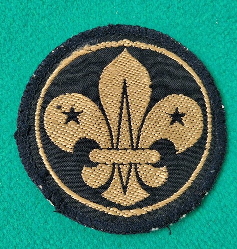 Vintage boy scout - vintage, leader