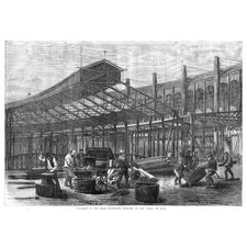 Esposizione parigina opera - esposizione,
