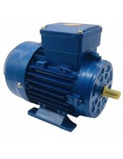 Motore trifase 11Kw 15CV