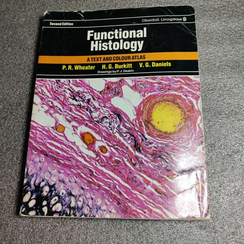 Vintage functional histology - functional,