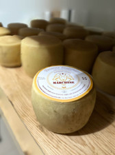 Prodotti tipici Sardo - Formaggio Di Osilo Pecorino Stagionato forma intera