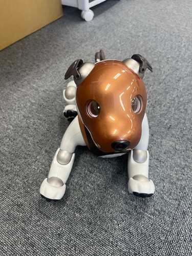 Set completo cane - robot, sony