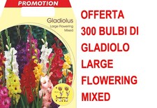 OFFERTA 300 BULBI PRIMAVERILI