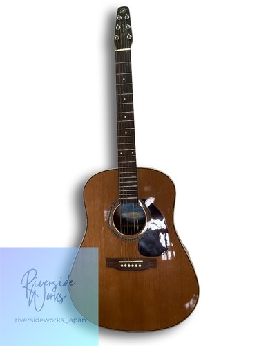 Chitarra acustica seagull - chitarra,
