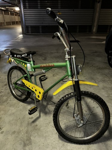 Bici olmo forestal - , bambino