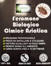 RICARICA COMPLETA PER TRAPPOLA CIMICE ASIATICA BIOLOGICA FINO A 16 SETTIM.