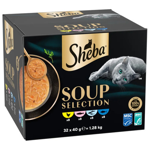 Sheba soup cibo - soup,