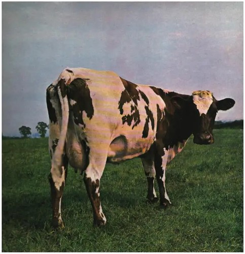 Pink floyd atom heart - lp,