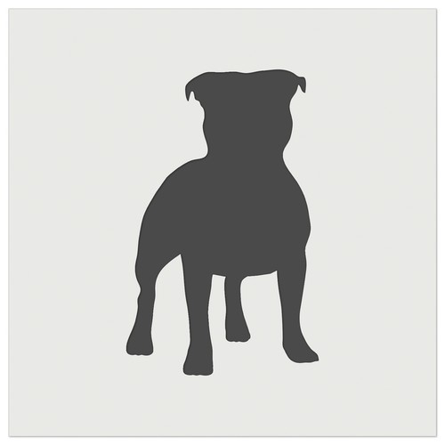 Staffordshire bull terrier - staffordshire,