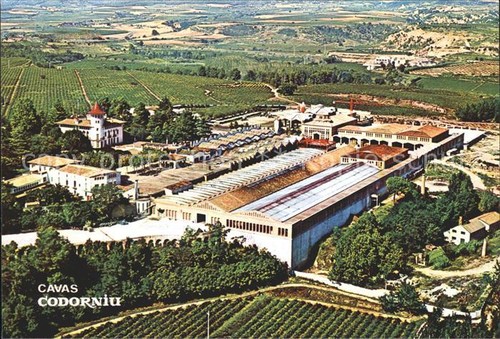 Codorniu - ,