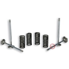 KIT 4 VALVOLE + MOLLE MALOSSI