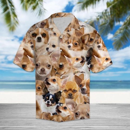 Chihuahua fantastica camicia