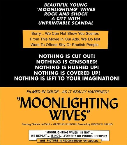 Moonlighting wives blu ray - moonlighting,