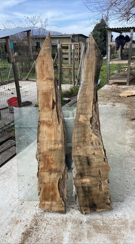 Coppia tavole legno di - coppia,