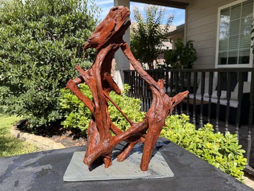 Driftwood acquari malesi pesci - driftwood,
