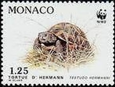 MONACO N° 1805 "PROTEZIONE DELLA NATURA, COPPIA DI TARTARUGHE" xxTTB