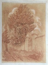 Guerzoni - Viale - Stampa