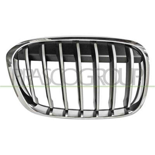 Griglia radiatore destra bmw - griglia,