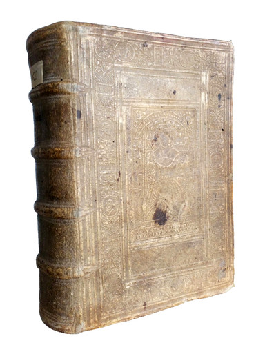 Petrus bembus - petrus,
