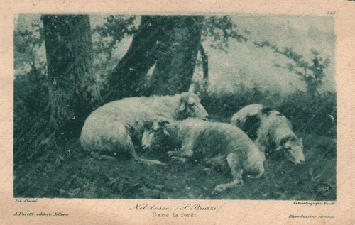 1925 the woods stefano - 1925, in