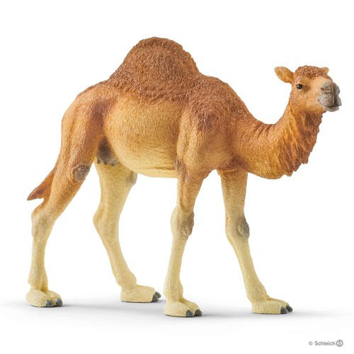 Dromedario wild life schleich - dromedario,