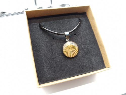 Fossil shell pendente art - shell, art.5spp