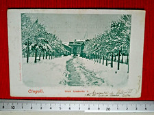 Cingoli- Viale Umberto I - Grande Nevicata - f.p. - v. 8 Genn. 1903