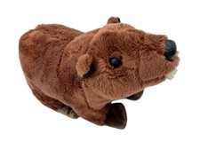 Peluche Castoro Animale