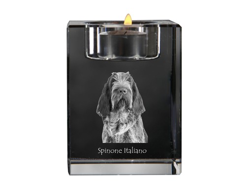 Spinone italiano candelabro - , di