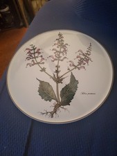 Botanica by Villeroy Boch CAKE