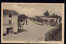 TRICESIMO (Udine). Via Nazionale. Gelateria Moderna. Non vg. anni '30.
