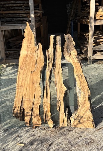 Tavole legno ulivo - legno, di
