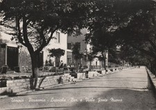 Tempio Pausania - bar Lucciola