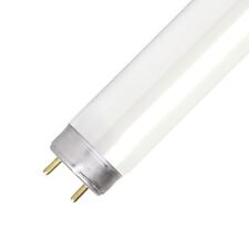 Lampada a Neon di Ricambio per