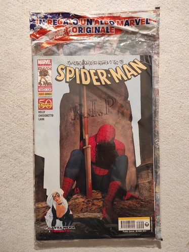Uomo ragno spider - ragno,