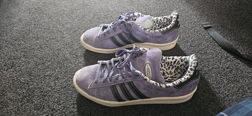 Adidas xlarge campus - xlarge, orbit