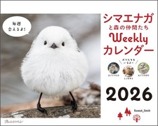 Calendario settimanale 2026 calendario da scrivania con cartolina 1 4 x 1 75 ...