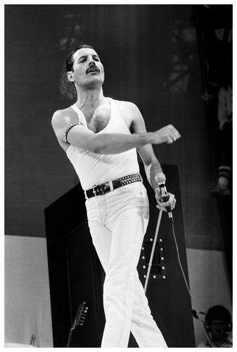 Poster freddy mercury 24x36 - freddy,