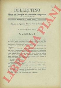 Salvadori tommaso festa - -, e.