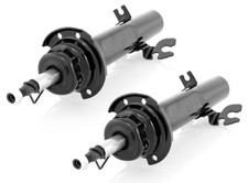 Coppia Ammortizzatori a Gas