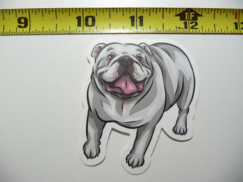 Bulldog giocoso piedi - giocoso, in