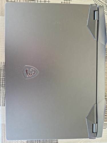 Msi ge66 raider notebook - raider,
