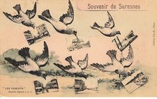92 Suresnes #28221 Cartolina Souvenir Vari Scorci Uccelli Piccioni