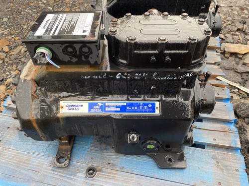 Non testato copeland discus - non,